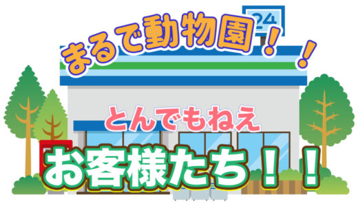 とんでもねえお客様達